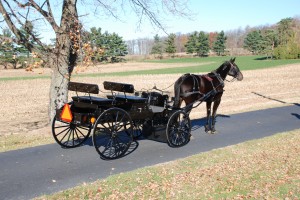 1SBBuckboard