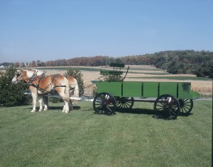 3ton_box wagon 3ton_box wagon