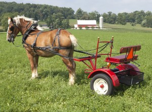 Standard forecart with bench seat and shafts