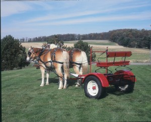 Draft cart w/bench seat Draft cart w/bench seat