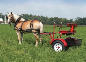 Haffliger Cart w/basket and Bench seat
