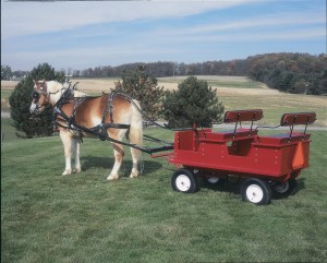 Half ton suv wagon Half ton suv wagon