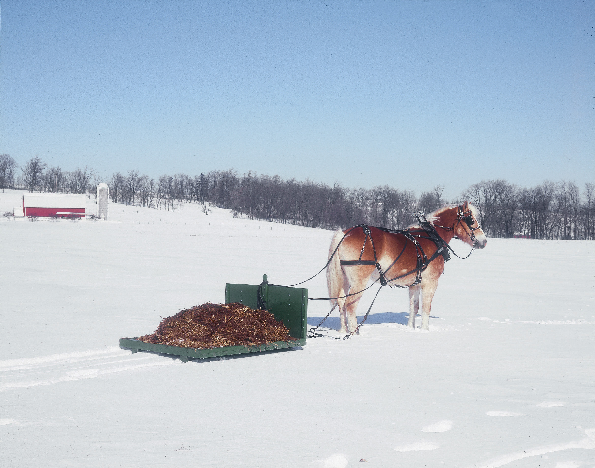 Stone Boat Sled