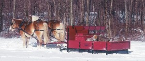 sled+red+with+hafling+$283$29